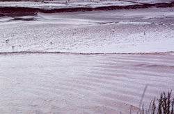 Moncton Bore